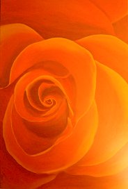 Rosenbl&uuml;te